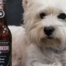 2 - Dog Beer - Cerveja para cachorros